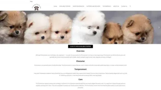 Screenshot of