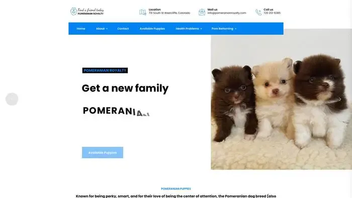 Screenshot of
