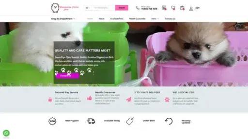 Screenshot of
