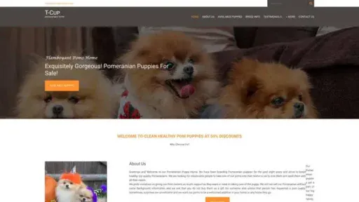 Screenshot of