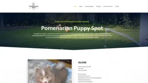 Screenshot of