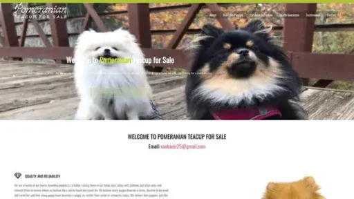 Screenshot of