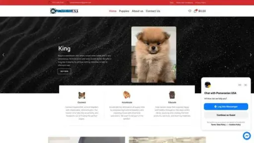 Screenshot of