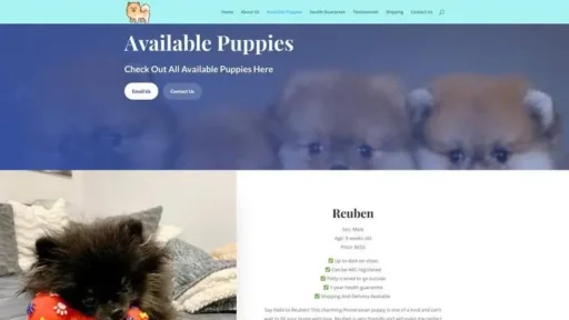 Screenshot of