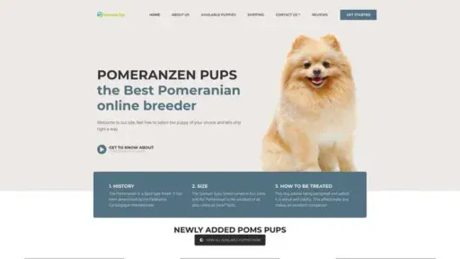 Screenshot of