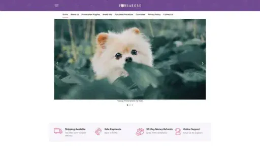 Screenshot of