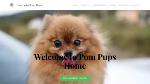 Screenshot of