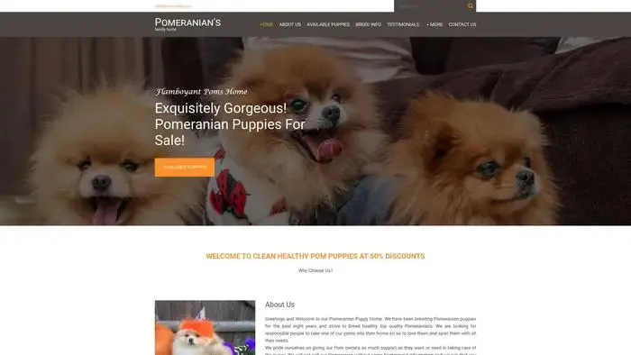 Screenshot of