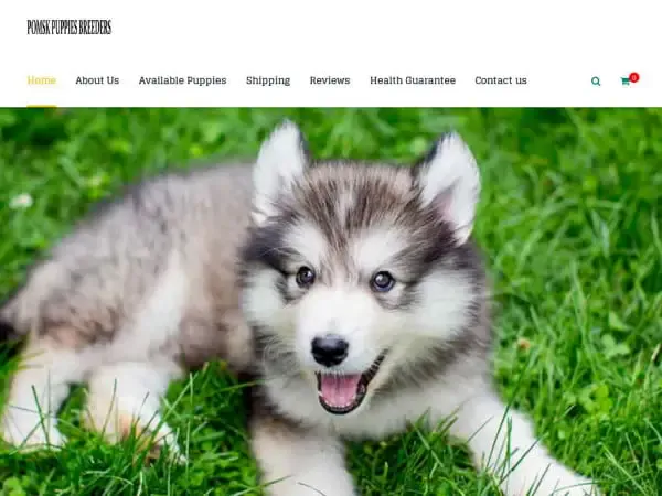 Screenshot of