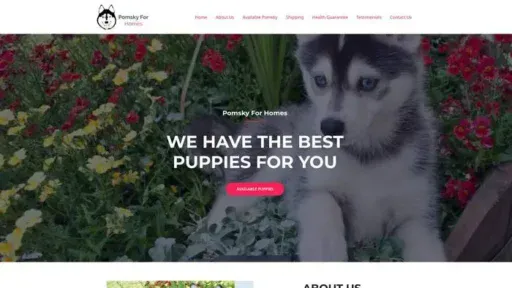 Screenshot of