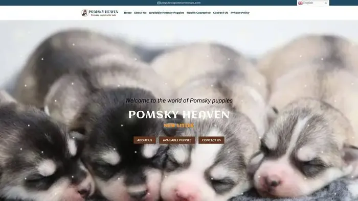 Screenshot of