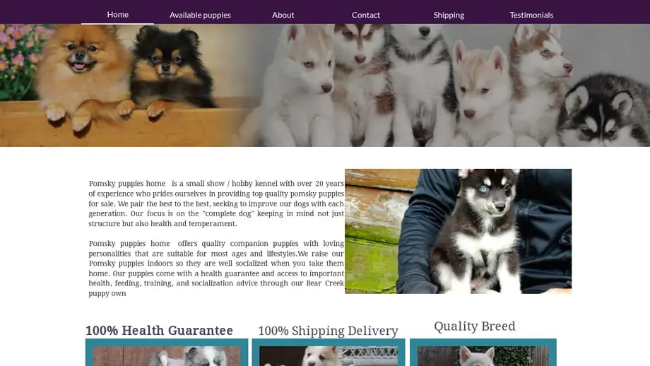 Screenshot of