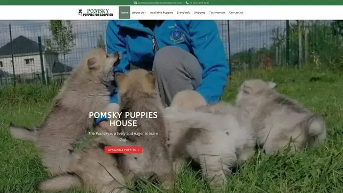 Screenshot of