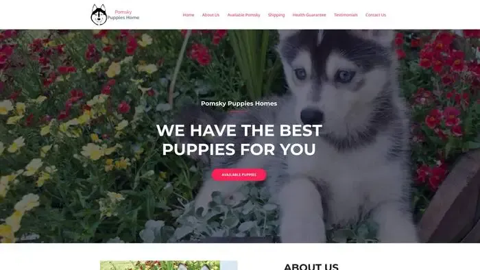 Screenshot of