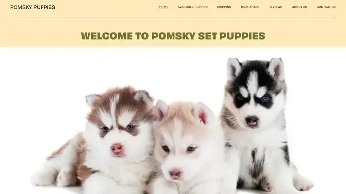Screenshot of