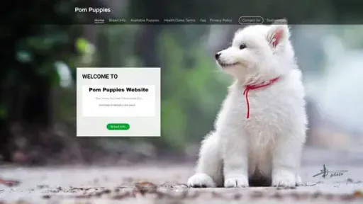 Screenshot of