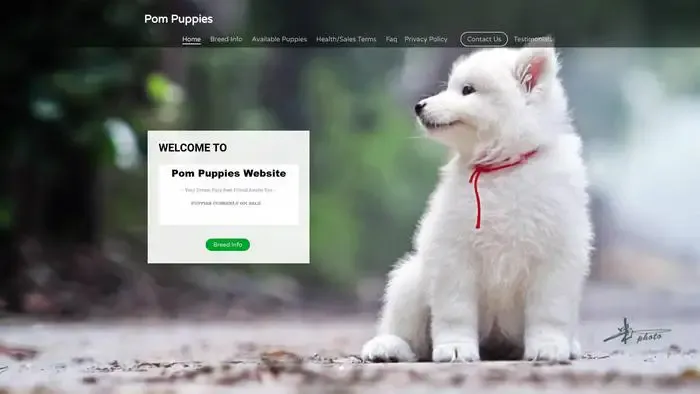Screenshot of