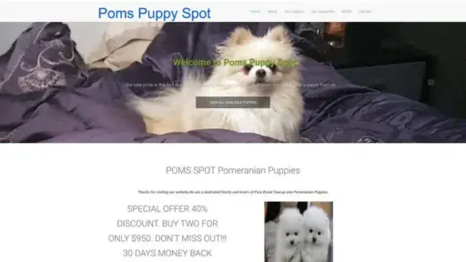 Screenshot of
