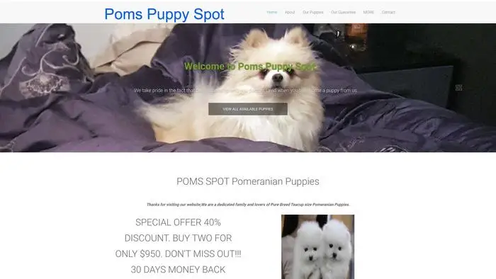 Screenshot of