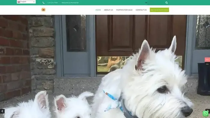 Screenshot of