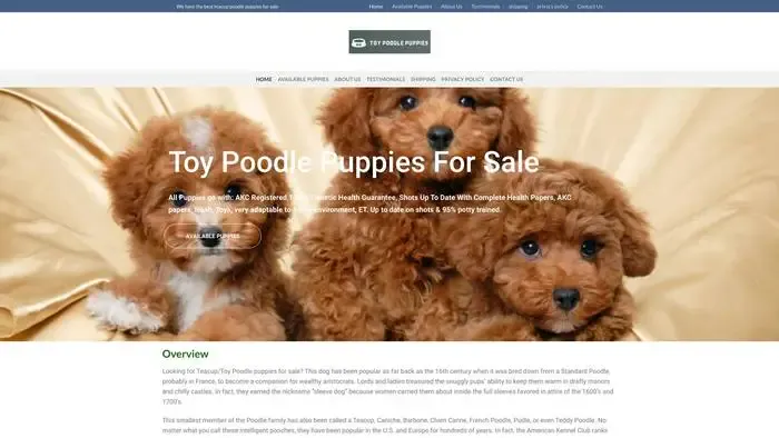Screenshot of