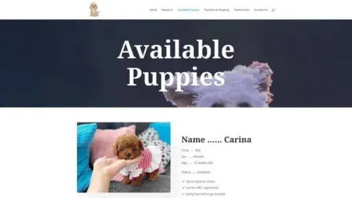 Screenshot of