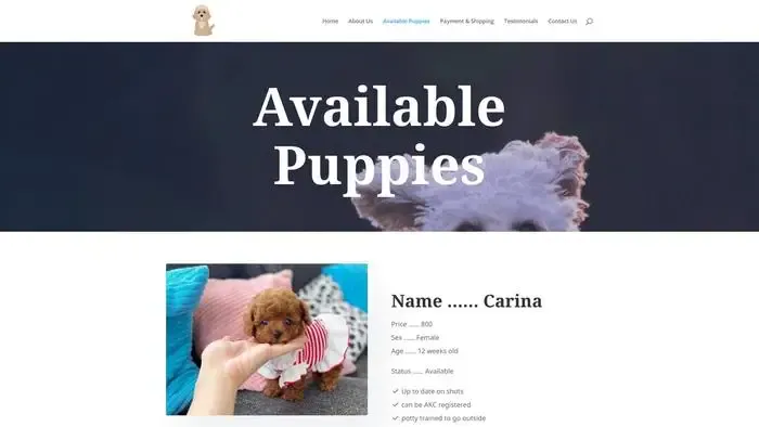 Screenshot of