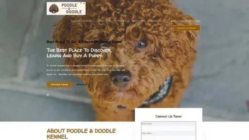 Screenshot of