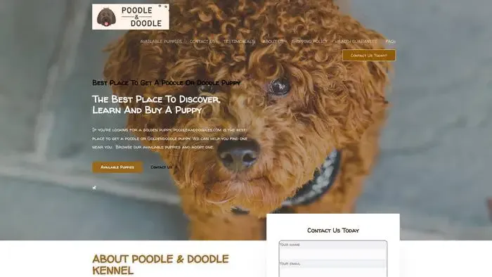 Screenshot of