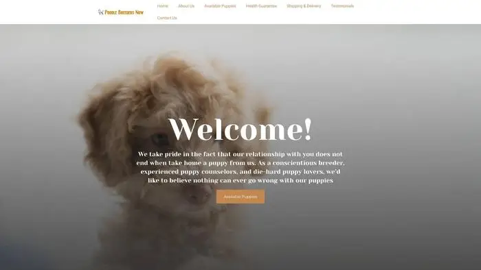 Screenshot of