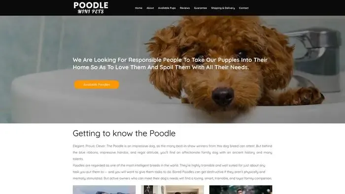 Screenshot of