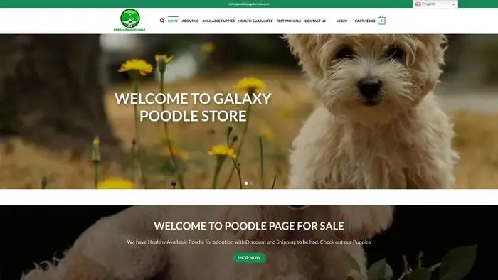 Screenshot of