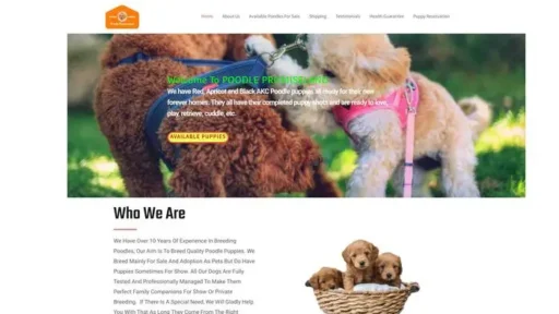 Screenshot of