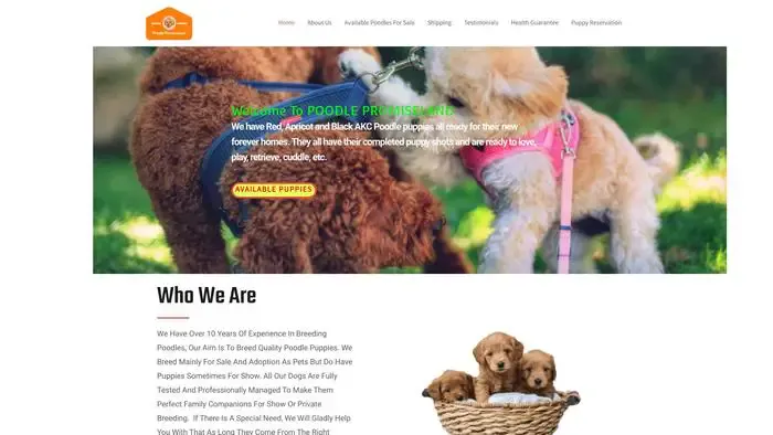 Screenshot of