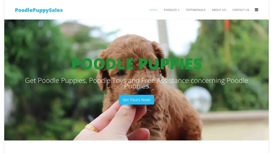 Screenshot of