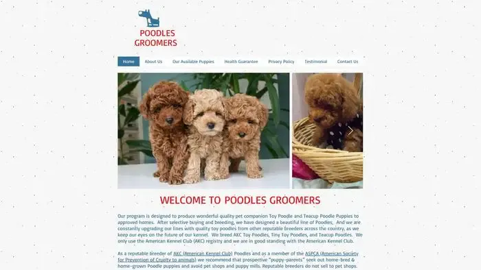 Screenshot of
