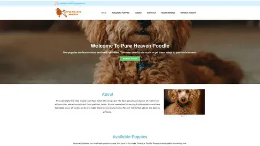 Screenshot of