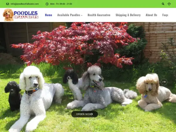 Screenshot of
