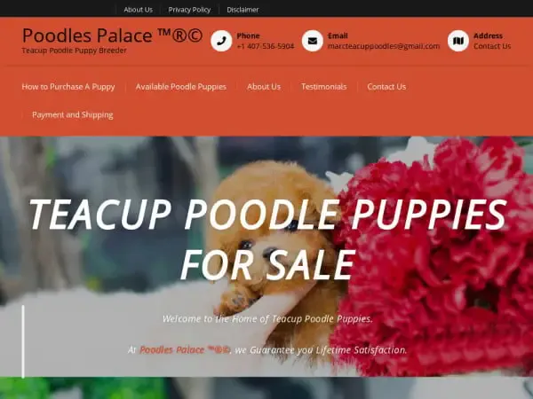 Screenshot of
