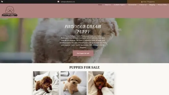 Screenshot of