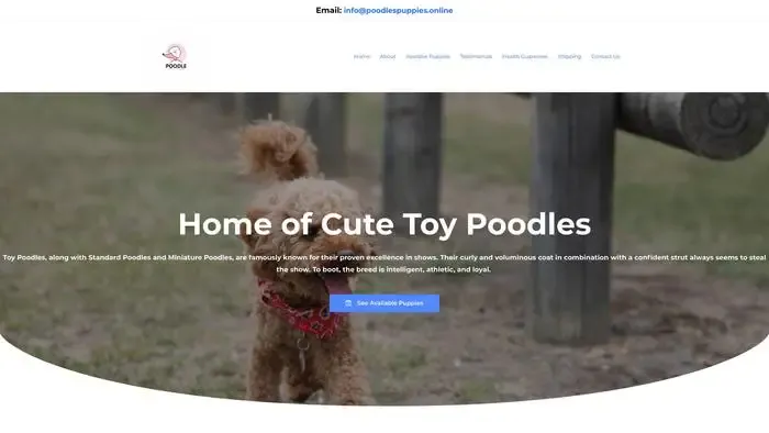 Screenshot of