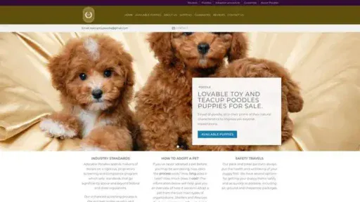 Screenshot of