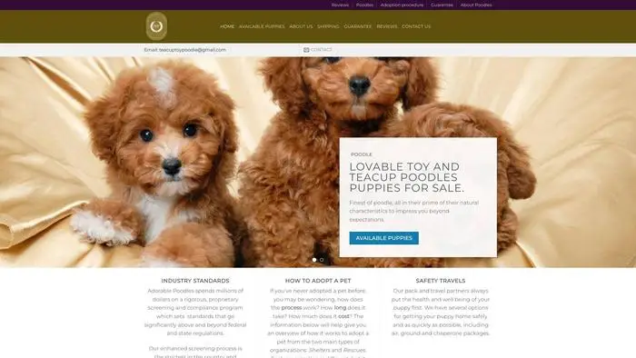 Screenshot of