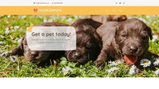 Screenshot of