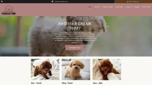 Screenshot of