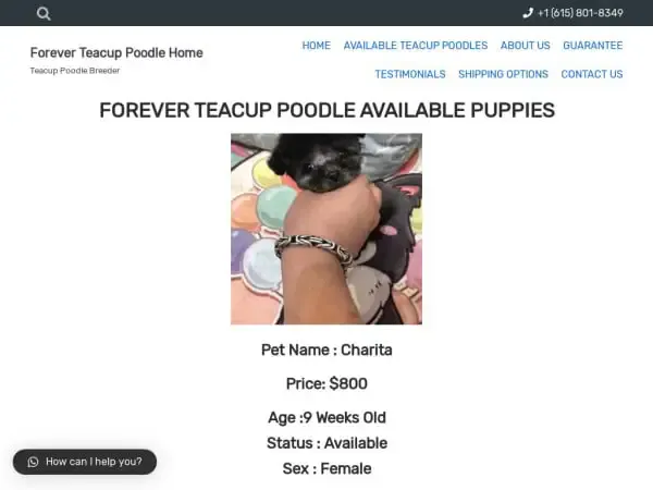 Screenshot of