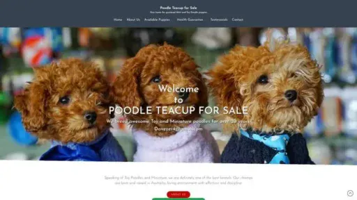 Screenshot of