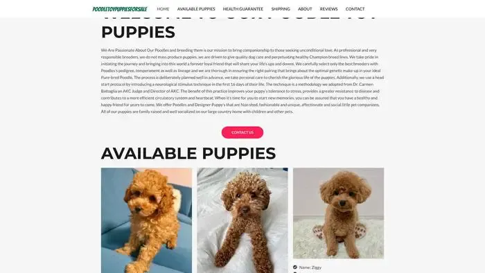 Screenshot of
