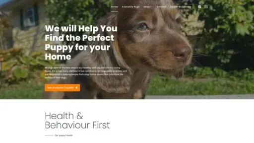 Screenshot of