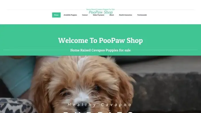 Screenshot of